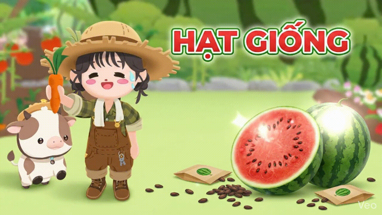 HẠT GIỐNG DƯA HẤU